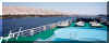 Ms_Sapphire-pont.jpg (274280 octets)